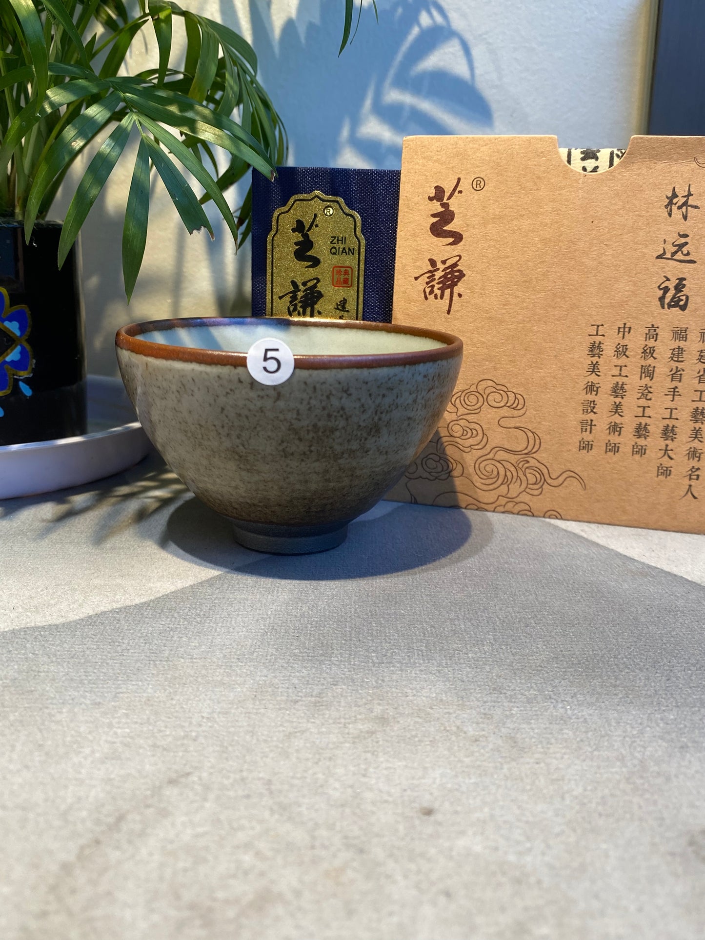 Master Lin Yuanfu 2025.5.28