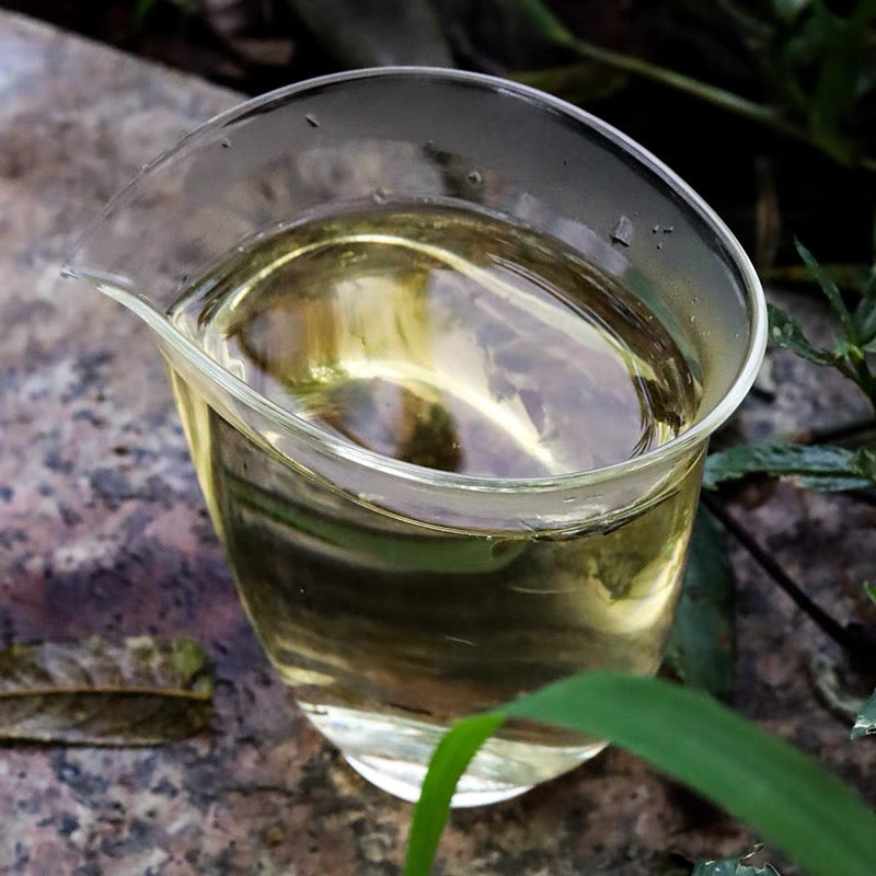 Yunnan Baihao Silver Needle,Human Fireworks From yan shang shui