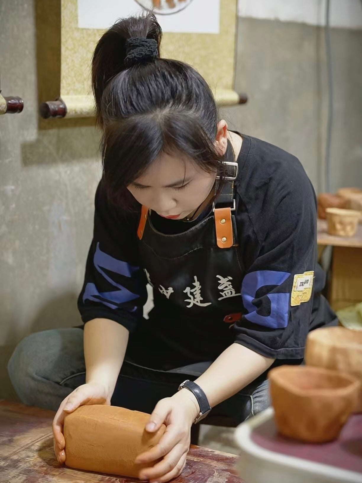 Xia ai hua master