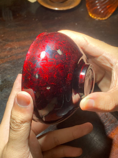 [Jett] Master ChenYuanFu Representative work Red Plum 10-18