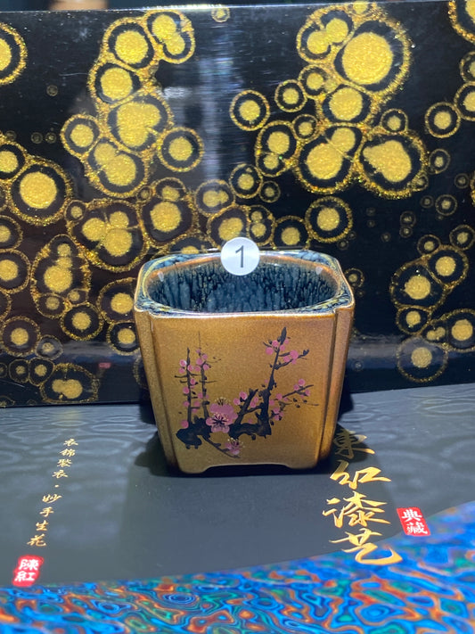 [Claire Pick]Soft Gold Daqi/ First People of Female Daqi Master Chenhong 8-19