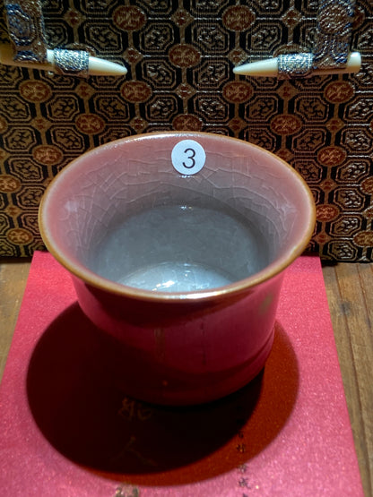 [Claire]National Gift/ Provincial Level | Master ZhangZaishou9-16