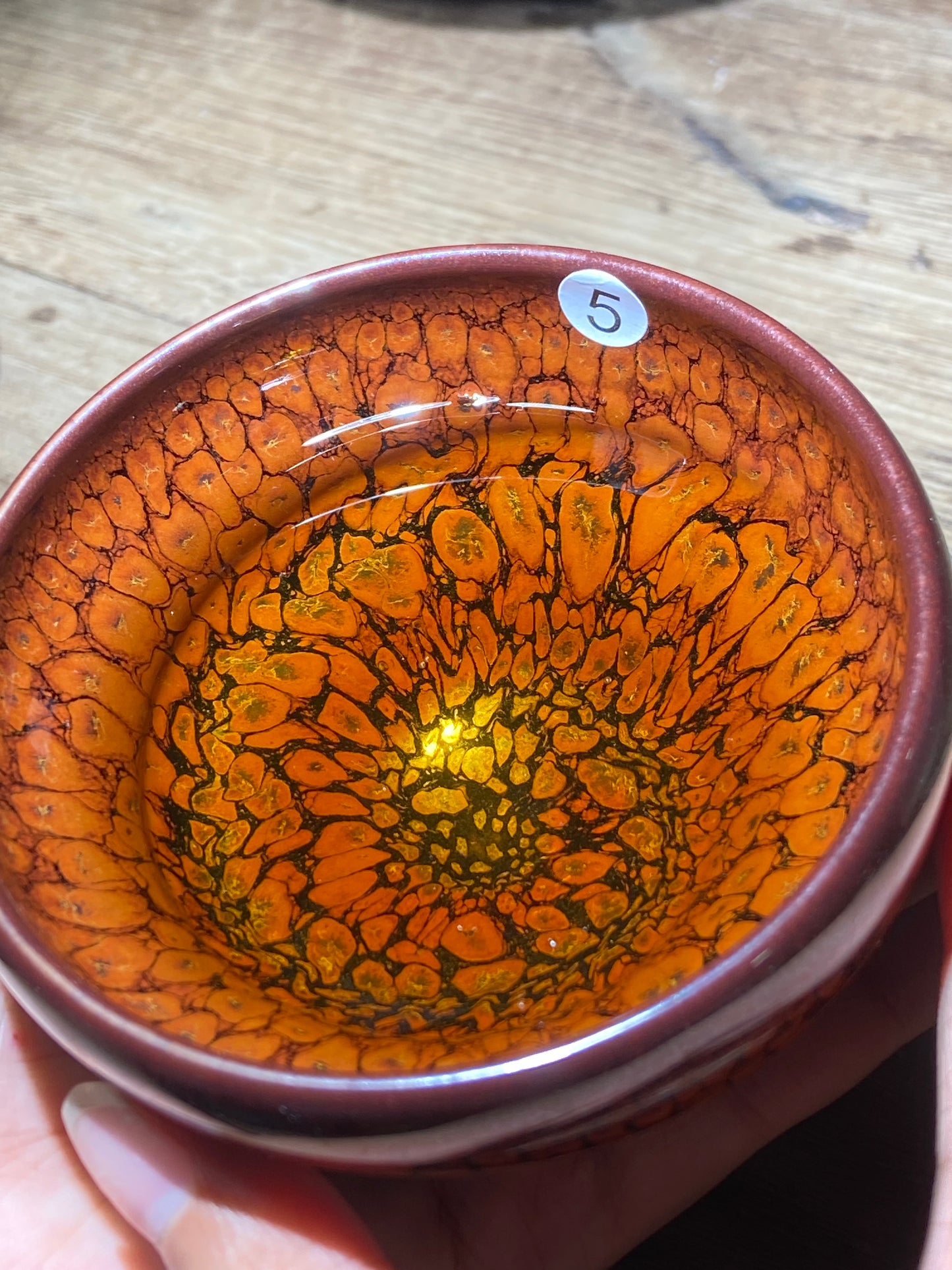 [Claire Pick] Student of National Master ChenDapeng/ Partridge King| Master HeDingxin9-13