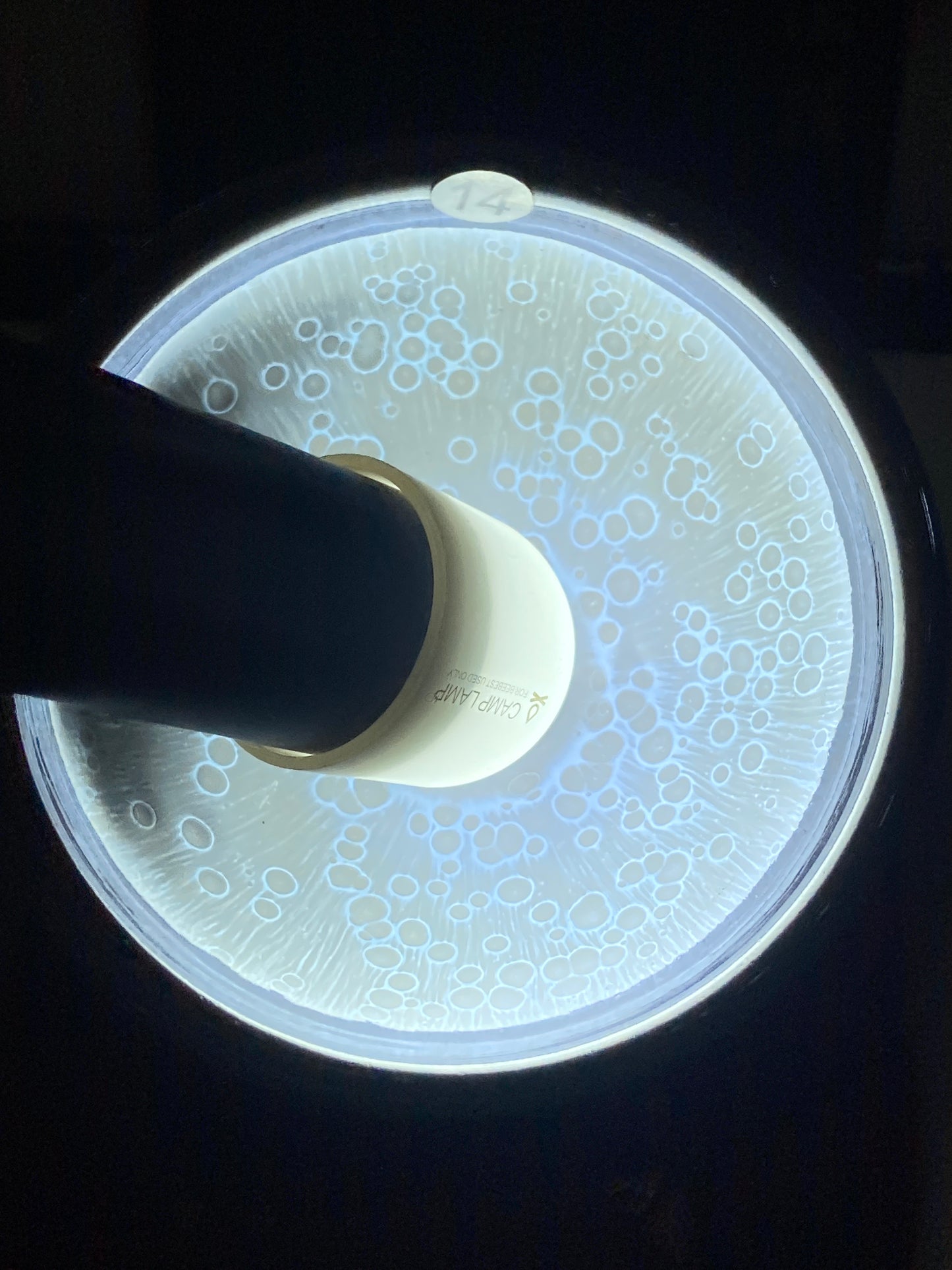 [No.1 teacup]Jianzhan/Senior craft artist, the first student of Huangmeijin/ Master Ye Shiming 12-19