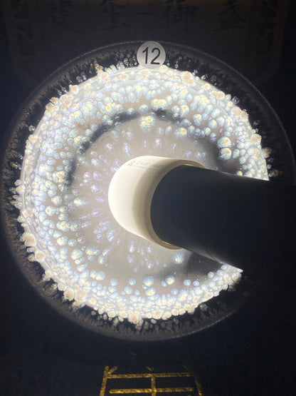 [No.1 teacup] Intangible Inheritor /  the sixth generation inheritor of the century-old dragon kiln / only one for Forbidden City ｜Master ZhouJiayong 2-12