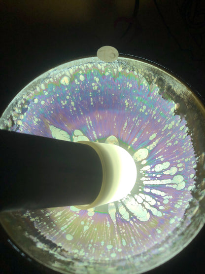 [Claire]Flower Carving Oil Droplet/Non-heritage Inheritor/The First People of Rainbow Glaze| Master JiGuoping 9-1