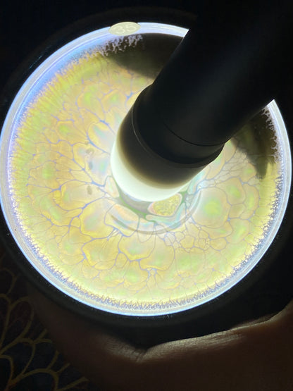 [Claire Pick]Founder of Ancient Oil Droplets and Golden Painting/ Porcelain firing super technologist | Master PanShenhao 8-23