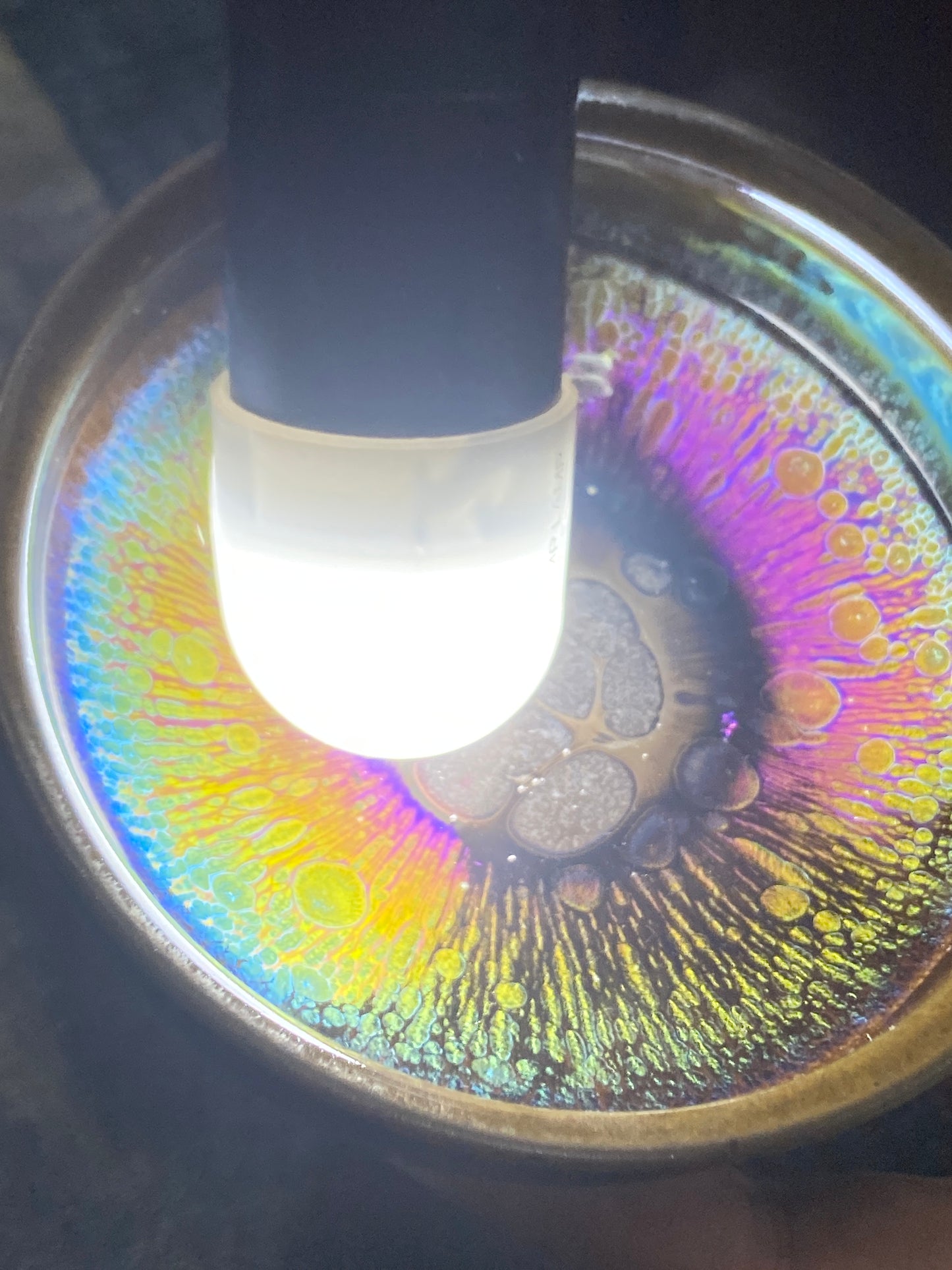 [No.1 teacup]Flower Carving Oil Drops/Non-heritage Inheritor/The First People of Rainbow Glaze| JiGuoping 12-16