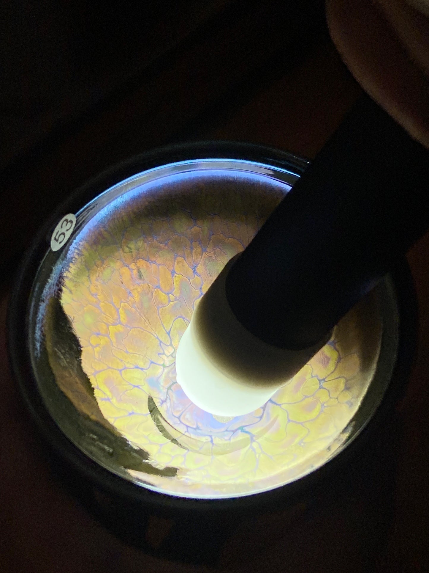 [Claire Pick]Founder of Ancient Oil Droplets and Golden Painting/ Porcelain firing super technologist | Master PanShenhao 8-23