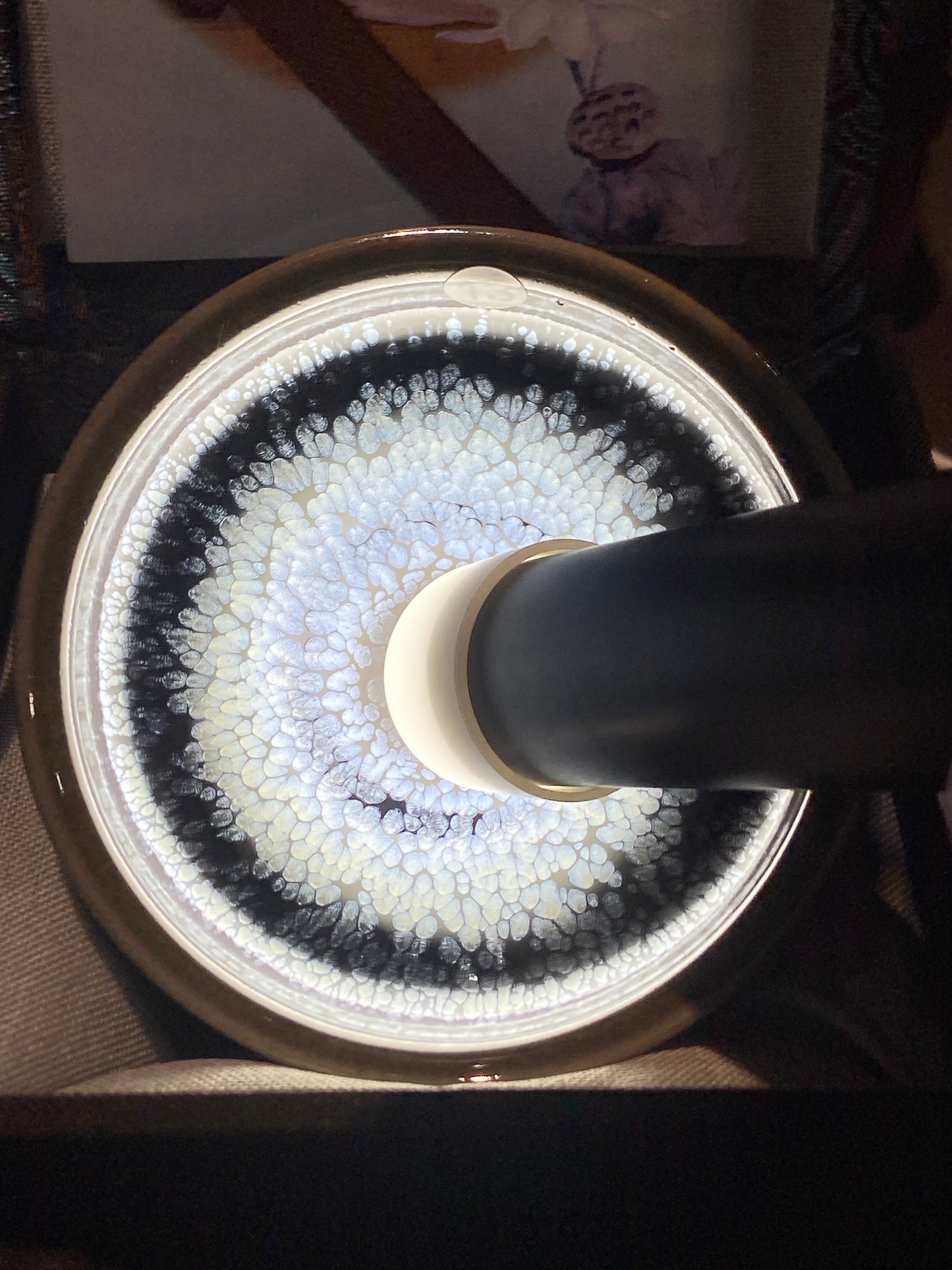 [No.1 teacup]Jianzhan｜Jianzhan Family | Famous Teachers and Apprentices |Master Wang Jing 2-4