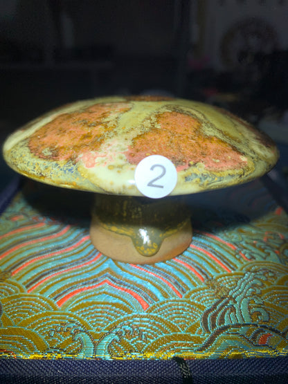 2025.6.22-Master Xie ai-hua