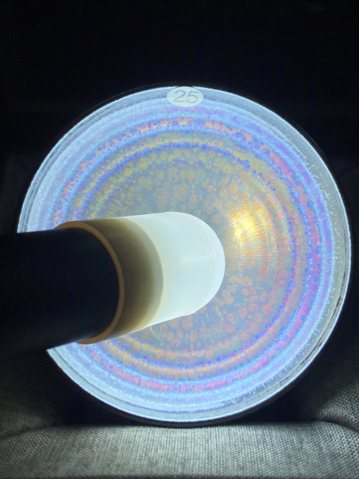 [No.1 teacup] Master LuoRengrong Inheritor of intangible cultural heritage 1-8
