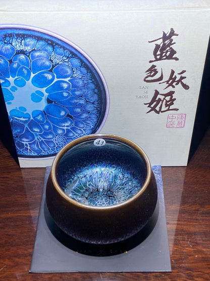 [Claire] Blue Series Master Chen 8-14