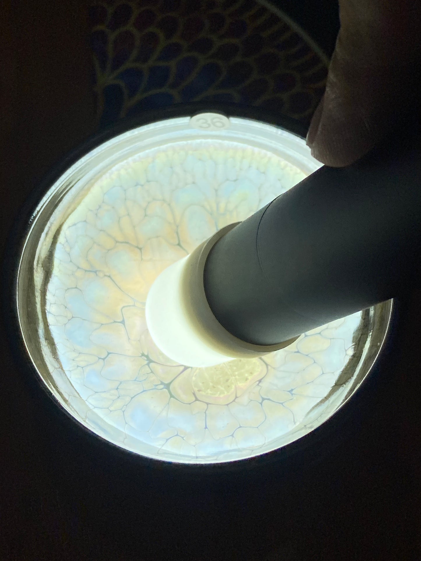 [Claire Pick]Founder of Ancient Oil Droplets and Golden Painting/ Porcelain firing super technologist | Master PanShenhao 8-23